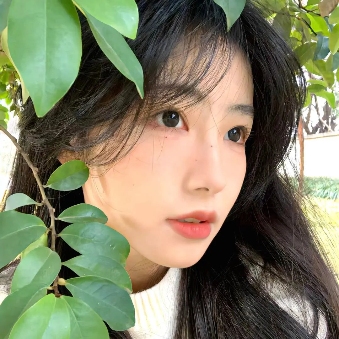 新兵第二季